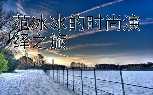 范冰冰的时尚演绎之旅