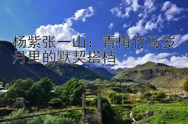 杨紫张一山：青梅竹马岁月里的默契搭档