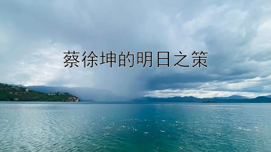 蔡徐坤的明日之策