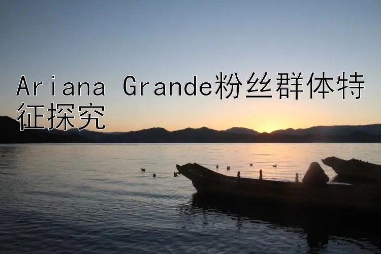 Ariana Grande粉丝群体特征探究