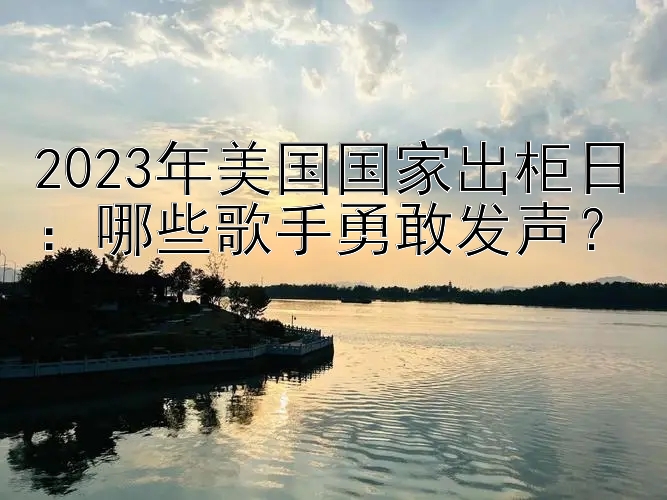 2023年美国国家出柜日：哪些歌手勇敢发声？