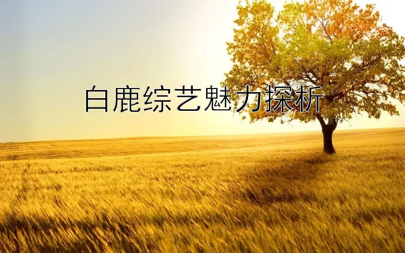 白鹿综艺魅力探析