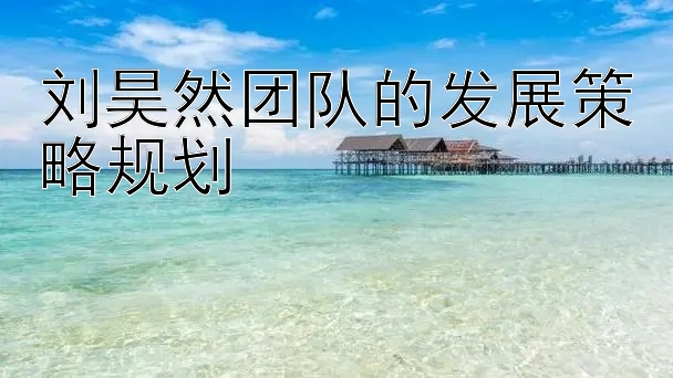 刘昊然团队的发展策略规划