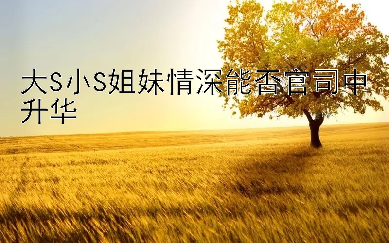 大S小S姐妹情深能否官司中升华