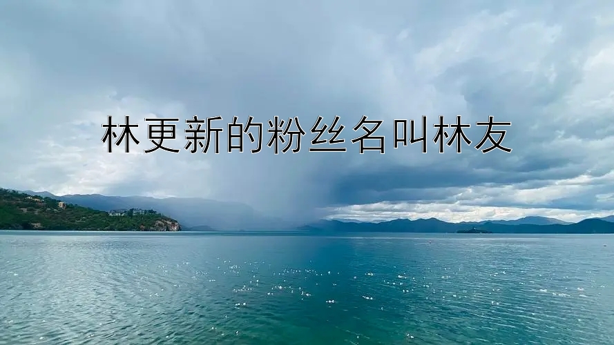 林更新的粉丝名叫林友