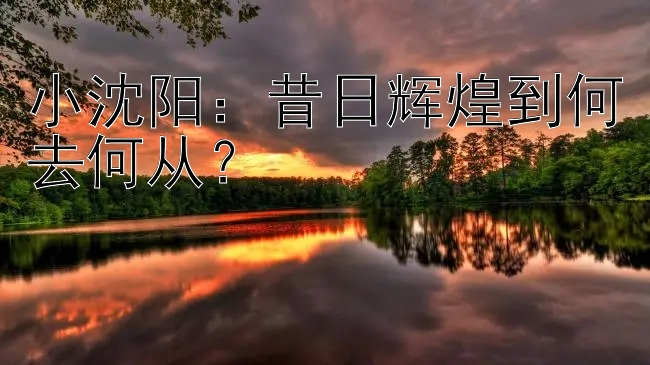 小沈阳：昔日辉煌到何去何从？