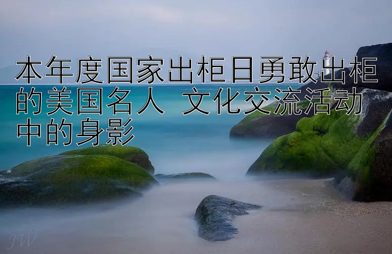 本年度国家出柜日勇敢出柜的美国名人 文化交流活动中的身影